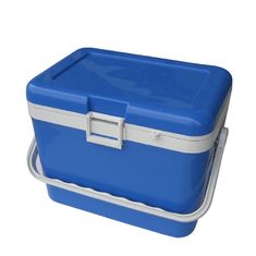 Food Grade Resin 17L Fruit Fresh Insulated Cool Box For Vaccines Corrosion Resistance