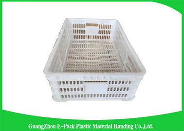 Household Plastic Food Crates Foldable Folding Solid For Fruit And Vegetable