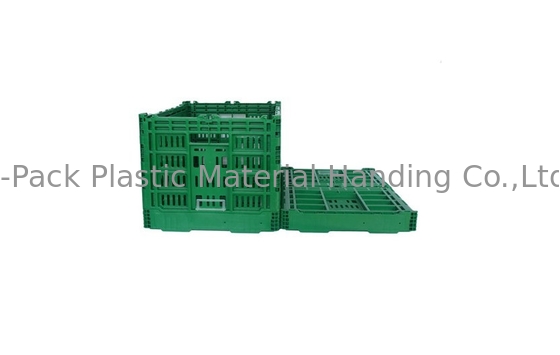 Custom Large Green Collapsible Plastic Crate For Vegetable Fruit Virgin PP Material