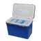 Injection Molded Beverage Insulated Cool Box Tough And Durable 12L 420 * 240 * 300mm
