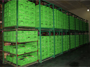 Agricultural Plastic Collapsible Storage Crate Customized 600*400 Mm