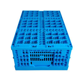 Fresh Food Loading Plastic Collapsible Crates 600*400*240 mm Mesh Structure