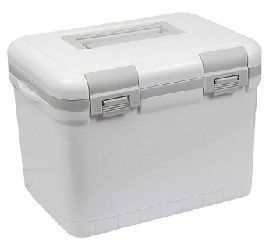 Small Insulated Cool Box 6L Volume Freezing Temperature -20--14℃