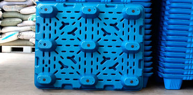 Durable Convenient SGS Blow Molding Plastic Pallets 1000*800 mm Lighter Pallets