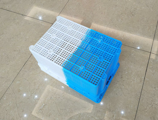 Double Color Shipping Nestable Plastic Crates For Fruits And Vegetables